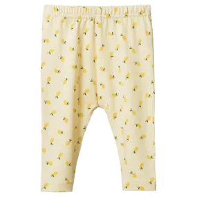 Leggings - Petite Lemon Cream
